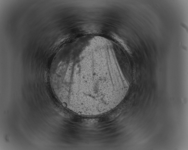 X0000092050161200710101022