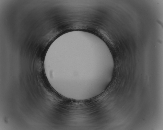 X0000092050164200710101022