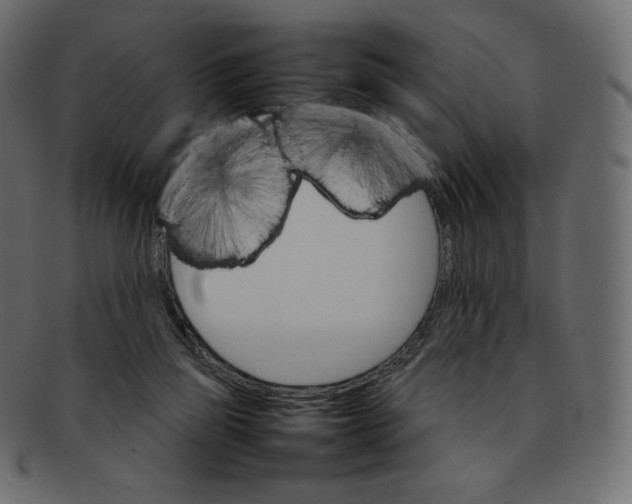 X0000092050165200710101022