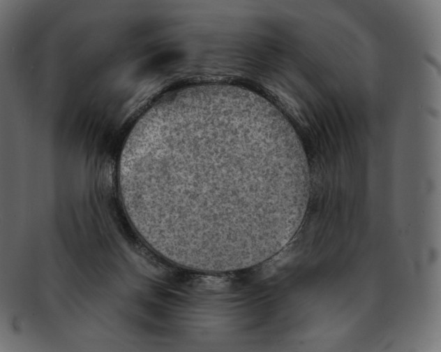 X0000092050166200710101022