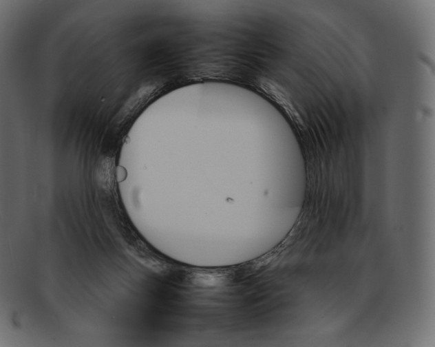 X0000092050167200710101022