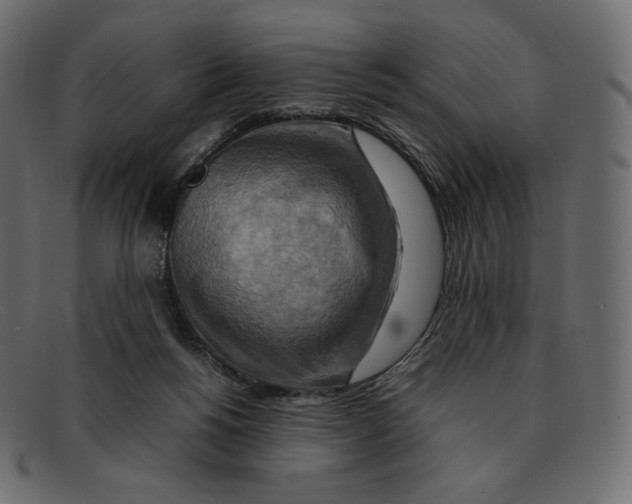 X0000092050168200710101022