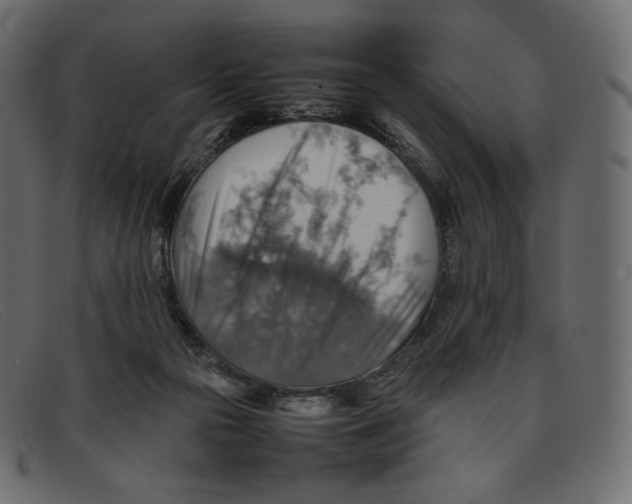 X0000092050169200710101022