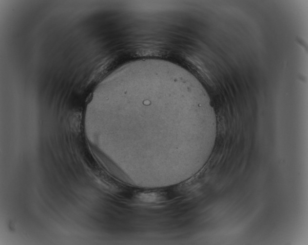 X0000092050171200710101022