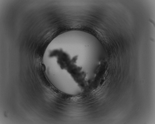 X0000092050172200710101022