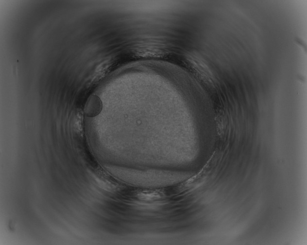 X0000092050175200710101022