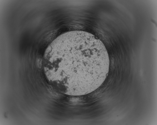 X0000092050177200710101022