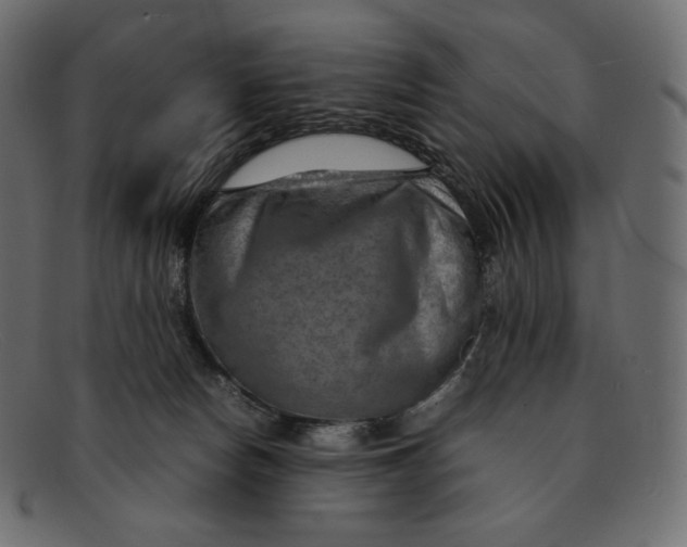 X0000092050178200710101022