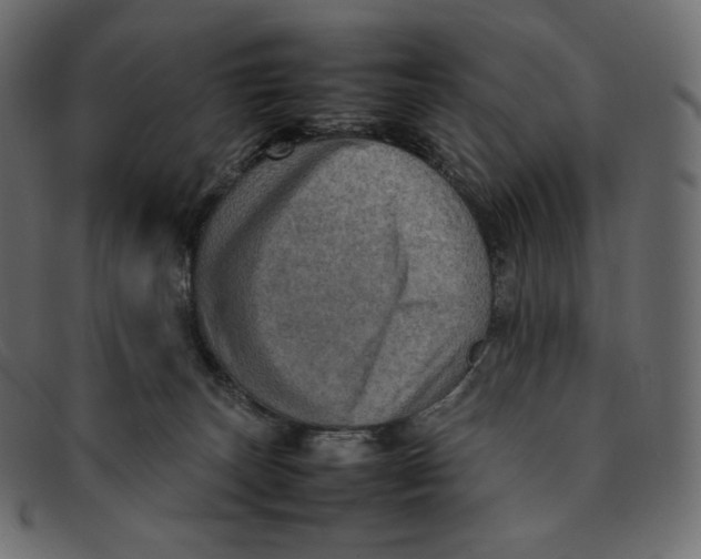 X0000092050179200710101022