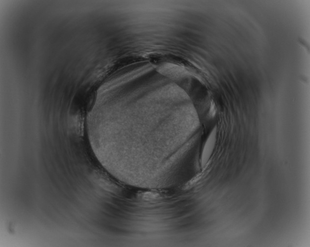 X0000092050180200710101022