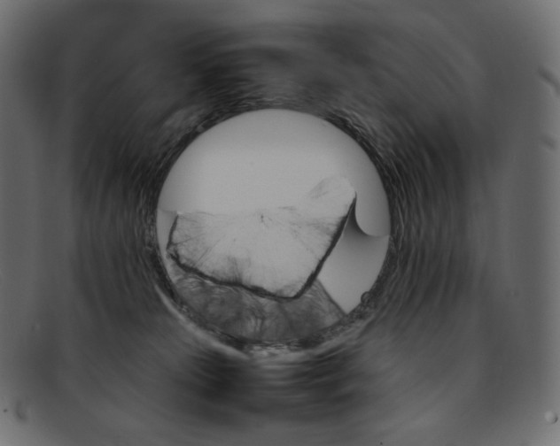 X0000092050181200710101022