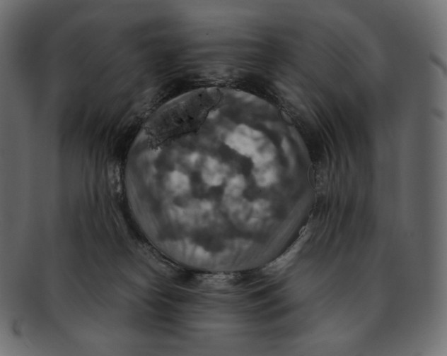 X0000092050182200710101022