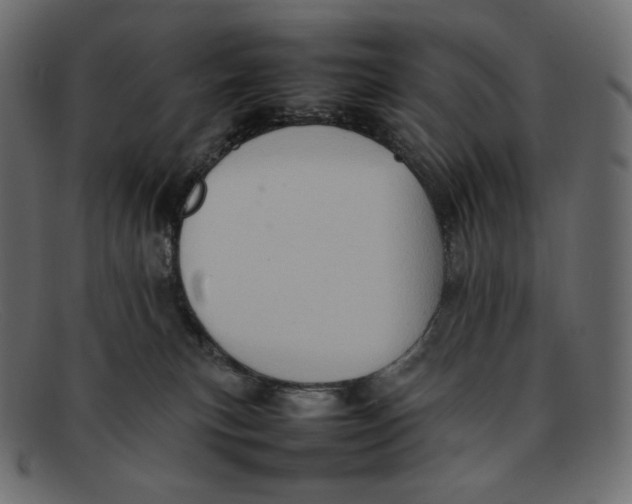 X0000092050183200710101022