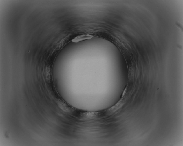 X0000092050184200710101022