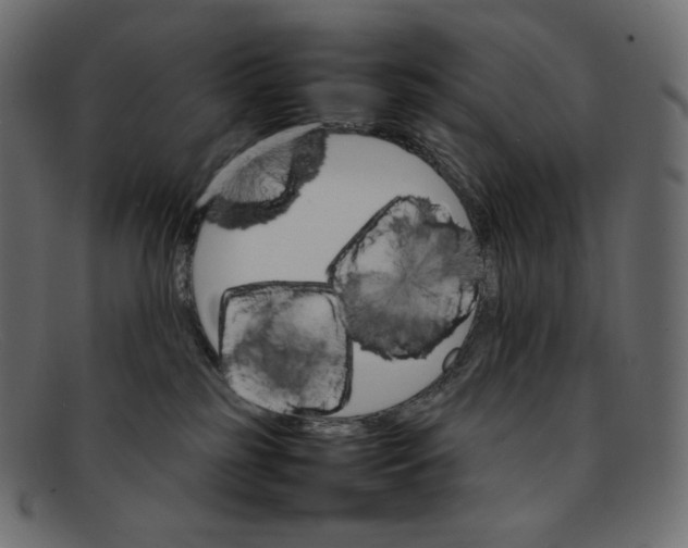 X0000092050185200710101022