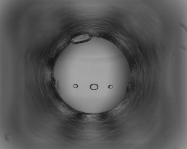 X0000092050188200710101022