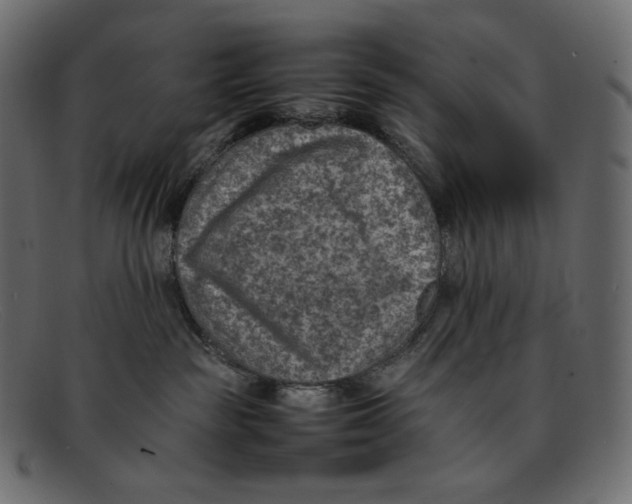 X0000092050189200710101022