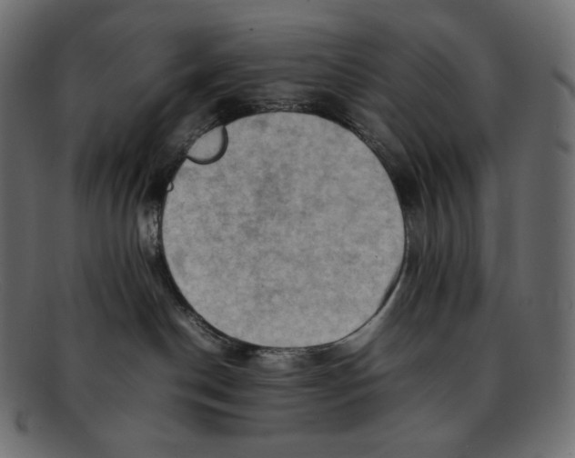 X0000092050190200710101022