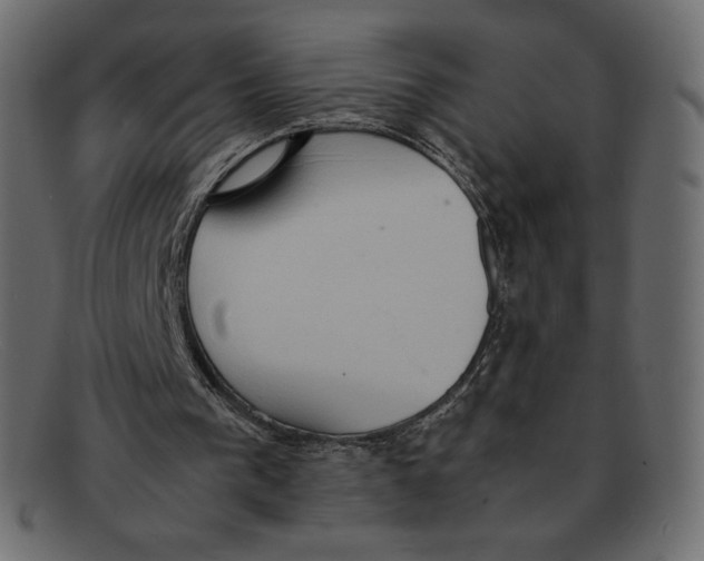 X0000092050193200710101022