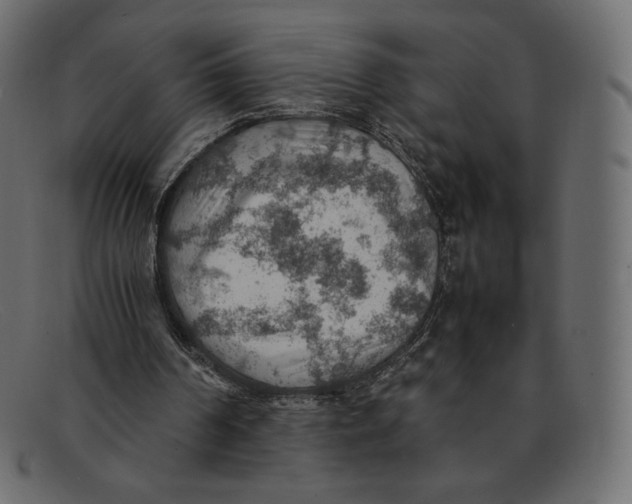 X0000092050194200710101022