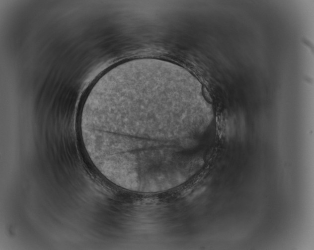 X0000092050196200710101022