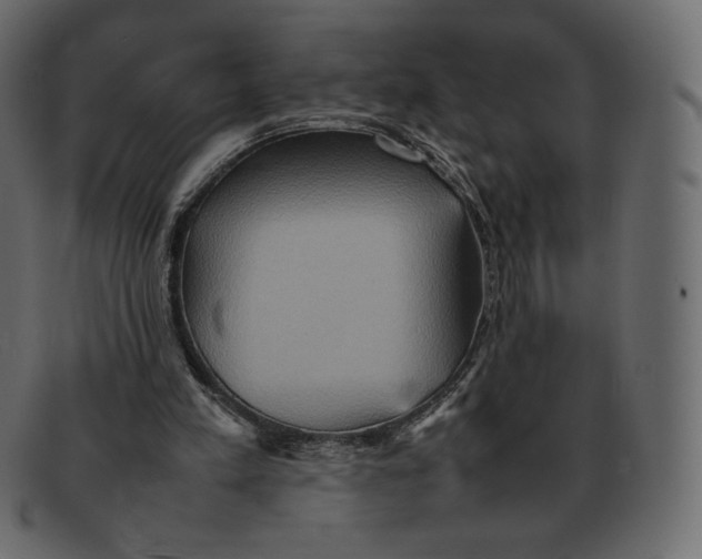 X0000092050197200710101022