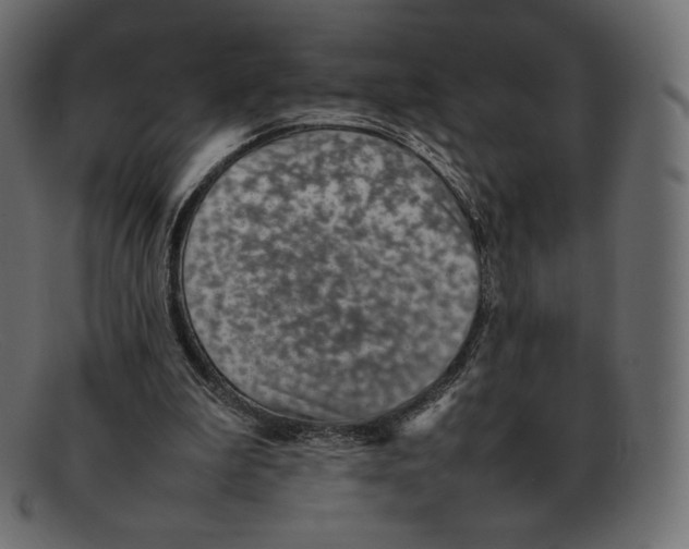 X0000092050199200710101022