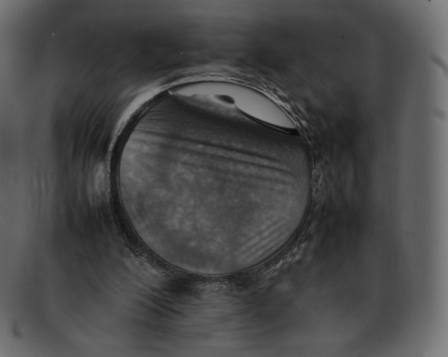 X0000092050200200710101022