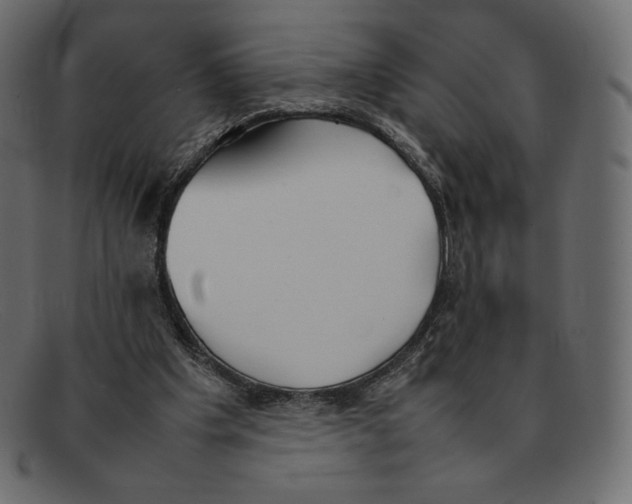 X0000092050201200710101022