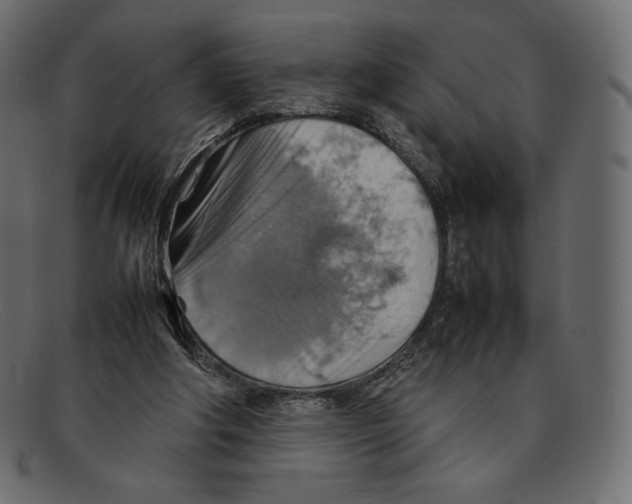 X0000092050202200710101022