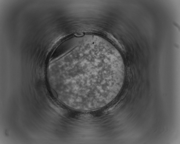 X0000092050203200710101022