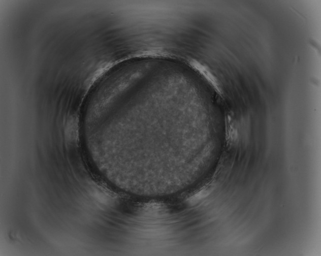 X0000092050204200710101022