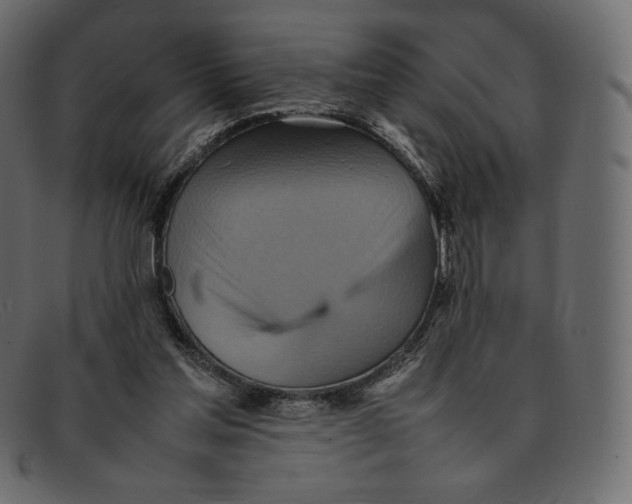 X0000092050205200710101022