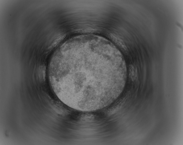 X0000092050206200710101022