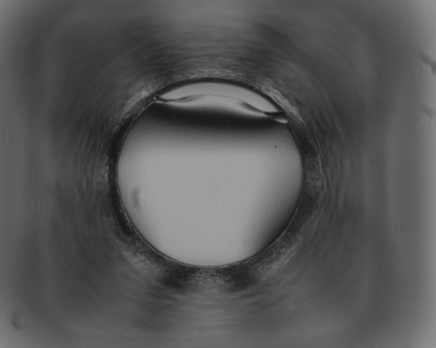 X0000092050207200710101022