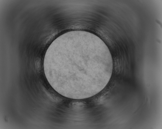 X0000092050208200710101022