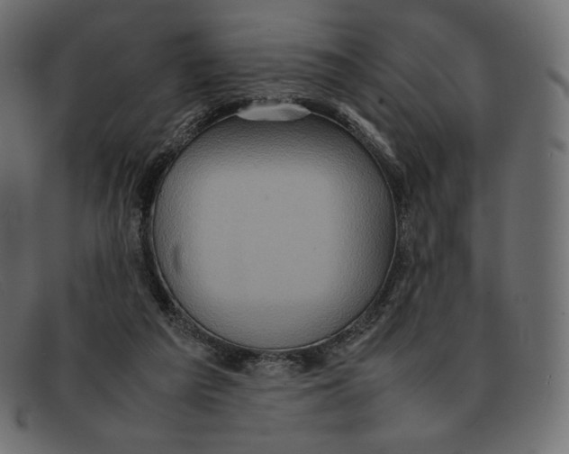 X0000092050209200710101021