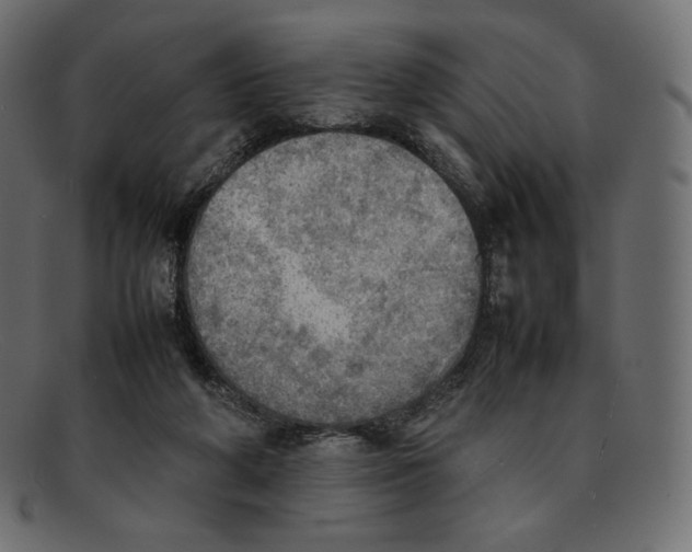 X0000092050210200710101021