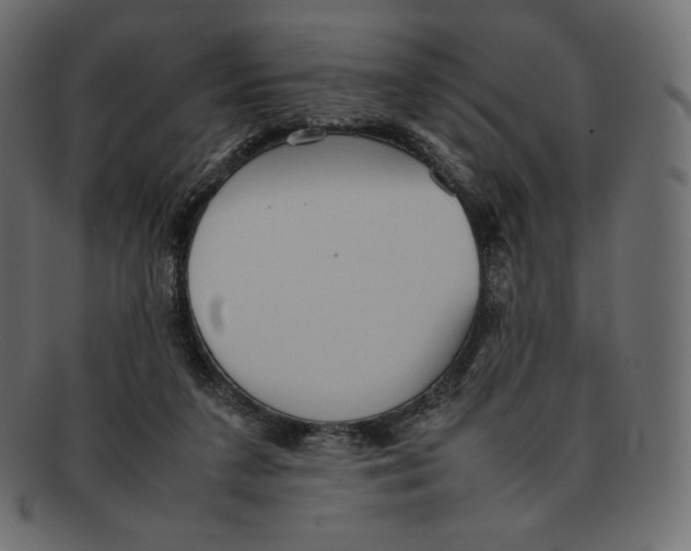 X0000092050211200710101021