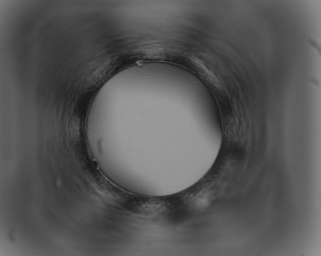 X0000092050213200710101021