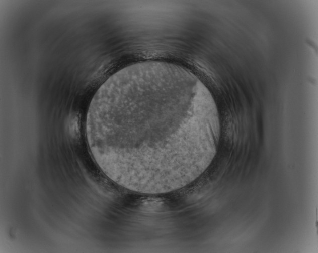 X0000092050214200710101021