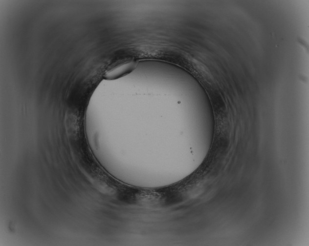 X0000092050215200710101021