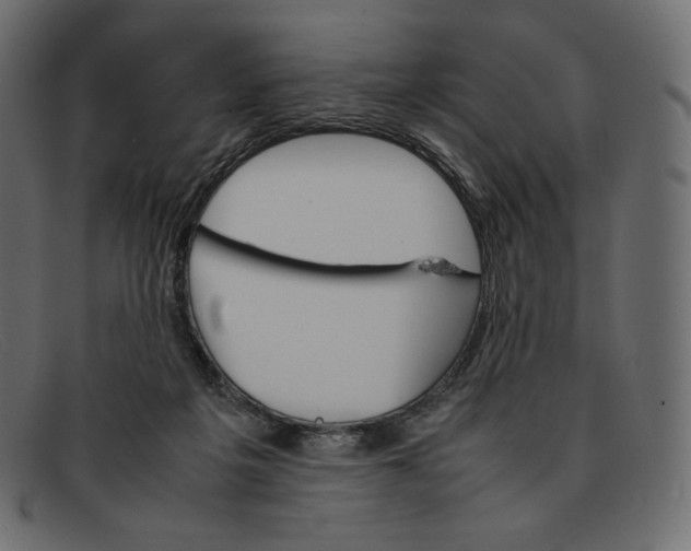 X0000092050217200710101021