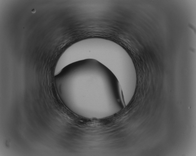 X0000092050219200710101021