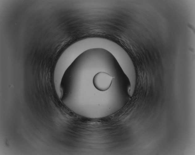 X0000092050220200710101021