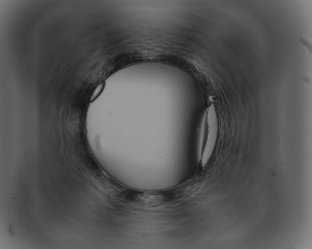 X0000092050221200710101021