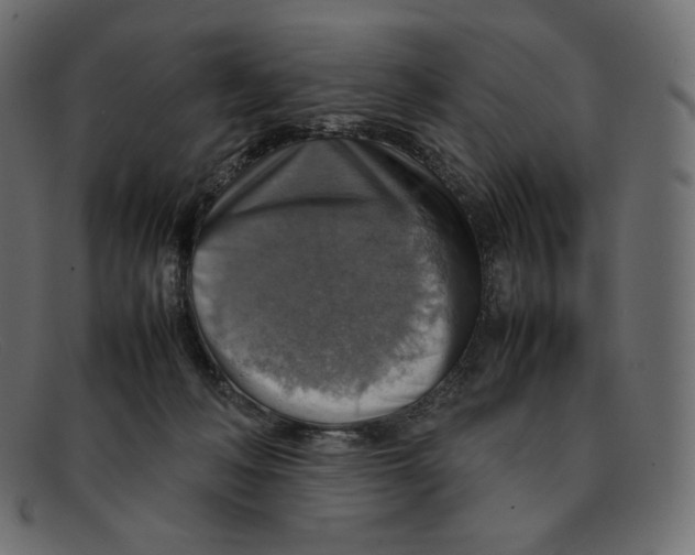 X0000092050222200710101021