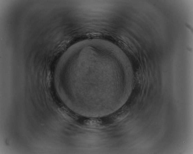 X0000092050223200710101021