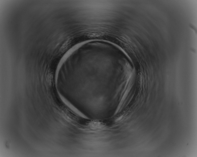 X0000092050227200710101021