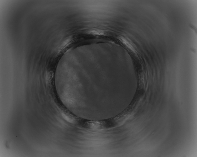 X0000092050229200710101021